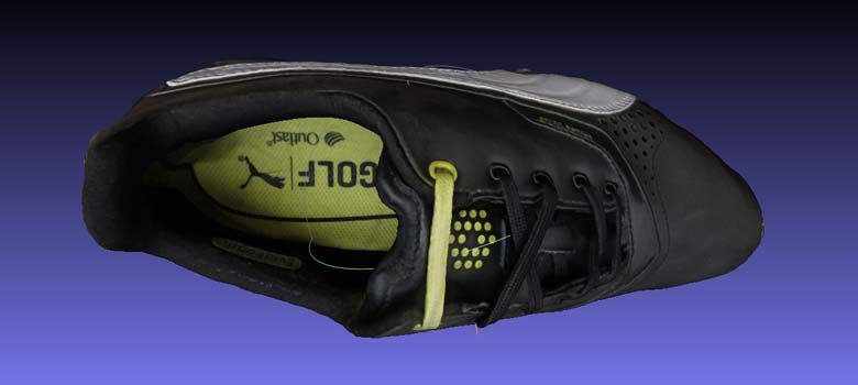 3D Digitized Golf Shoe